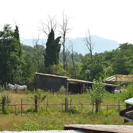 Cascina Scola Bauernhof *