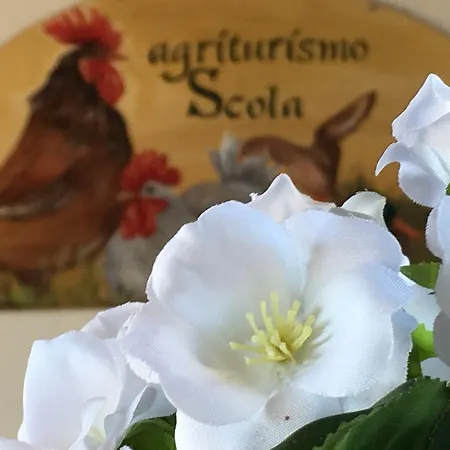 Farm stay Cascina Scola